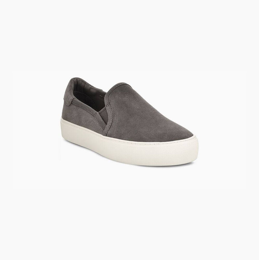 UGG Jass Suede Grey Sneakers for Women (MRJV04635)